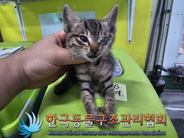 종료(자연사) 한국…